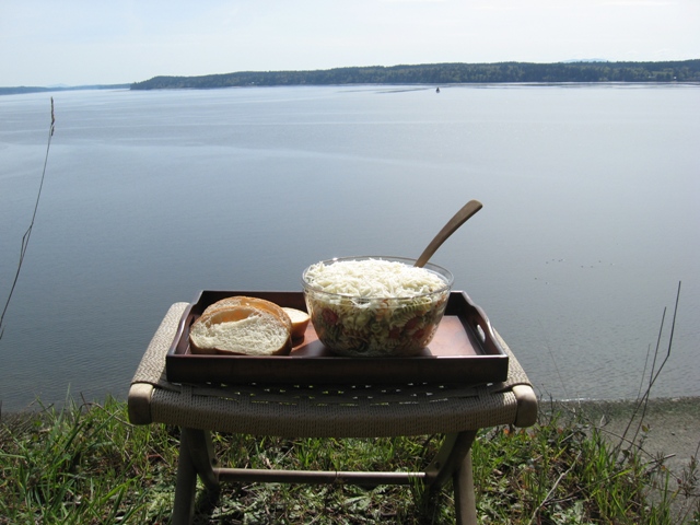 Karin's Italian Pasta Salad